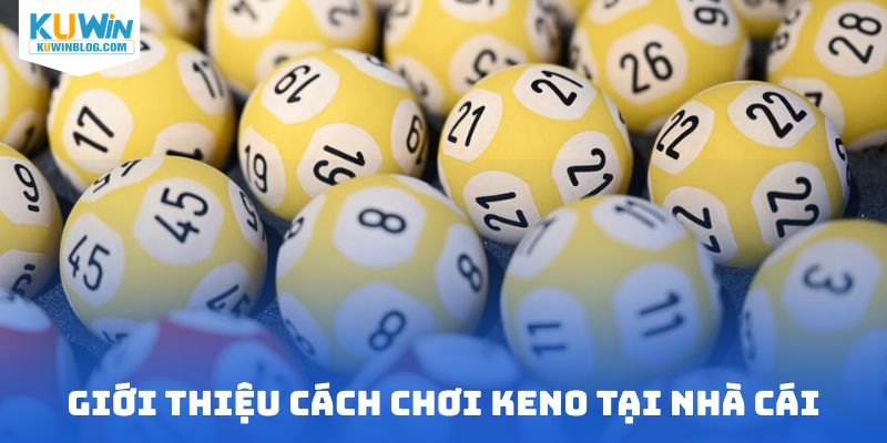 Giới thiệu cách chơi keno tại nhà cái