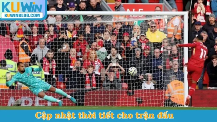 Cập nhật thời tiết cho trận đấu