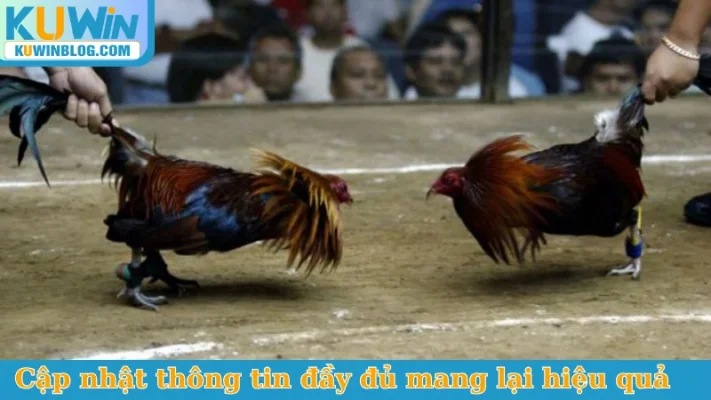 Cập nhật thông tin đầy đủ mang lại hiệu quả