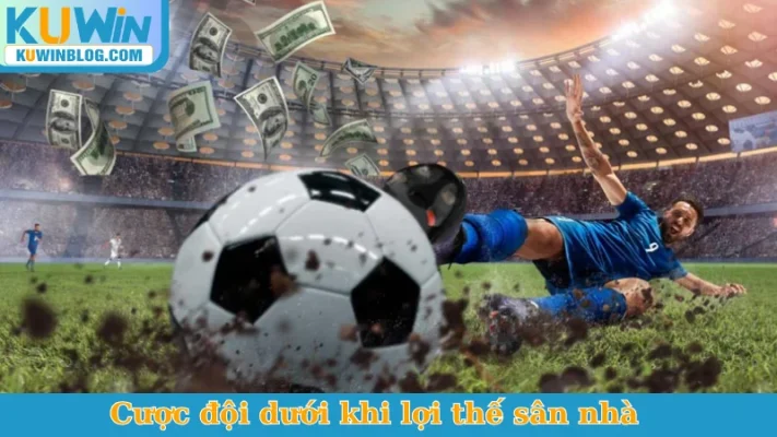 Cược đội dưới khi lợi thế sân nhà