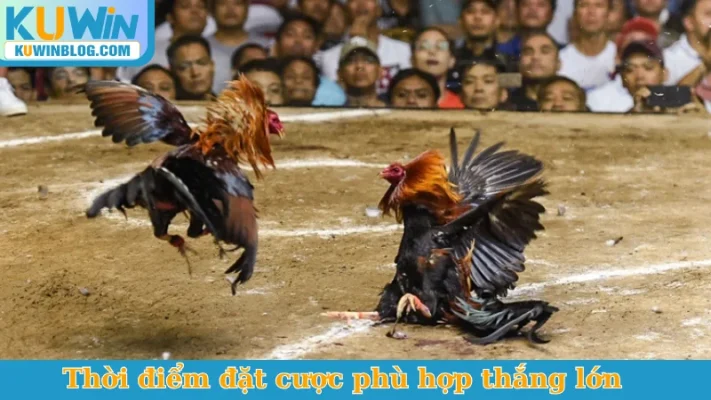 Thời điểm đặt cược phù hợp thắng lớn